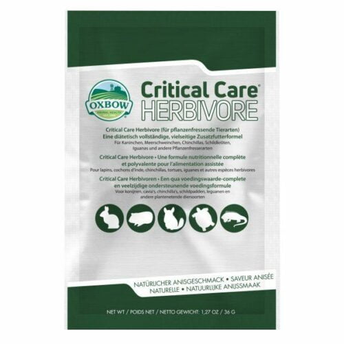 SOOS Oxbow Critical Care Herbivore Anise Flavor - อาหารเสริม สัตว์กินพืช 36g (6418)