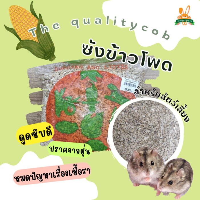 ซังข้าวโพด