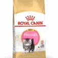 Royal Canin Persian Kitten