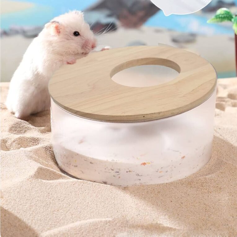 hamster_toilet_circle