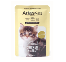 Atlas Cat Kitten Chicken in Jelly