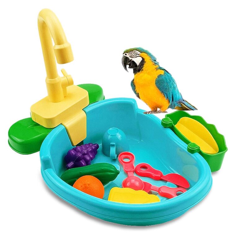 bird_bath_toy