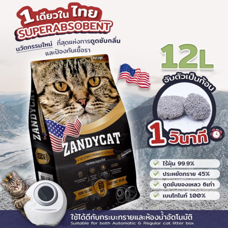 ปก-ZANDYCAT12L.2