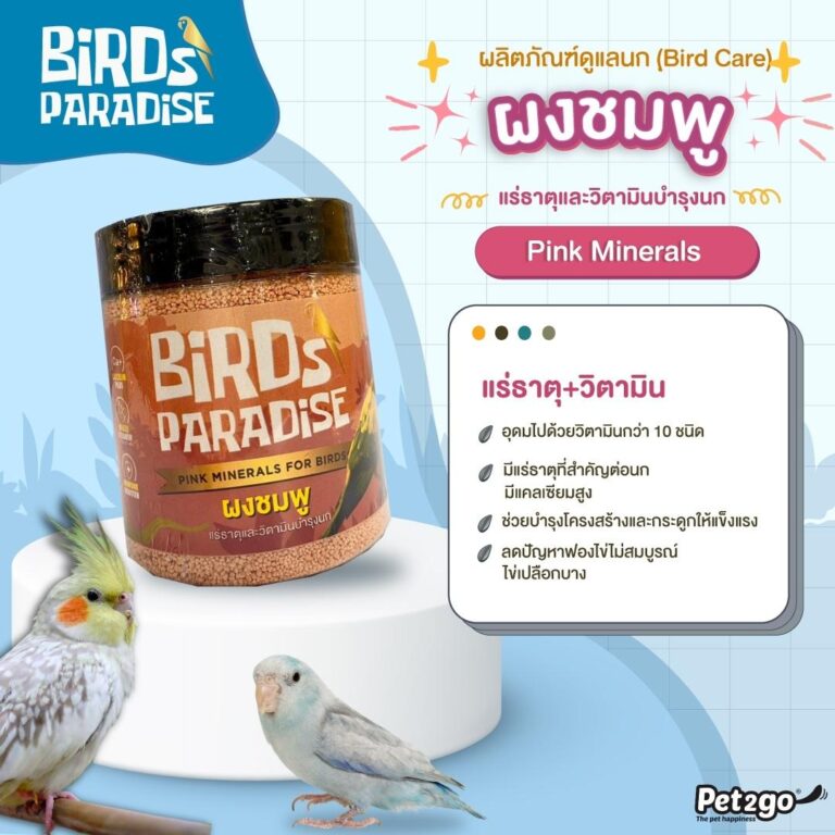 BIRD PARADISE 2