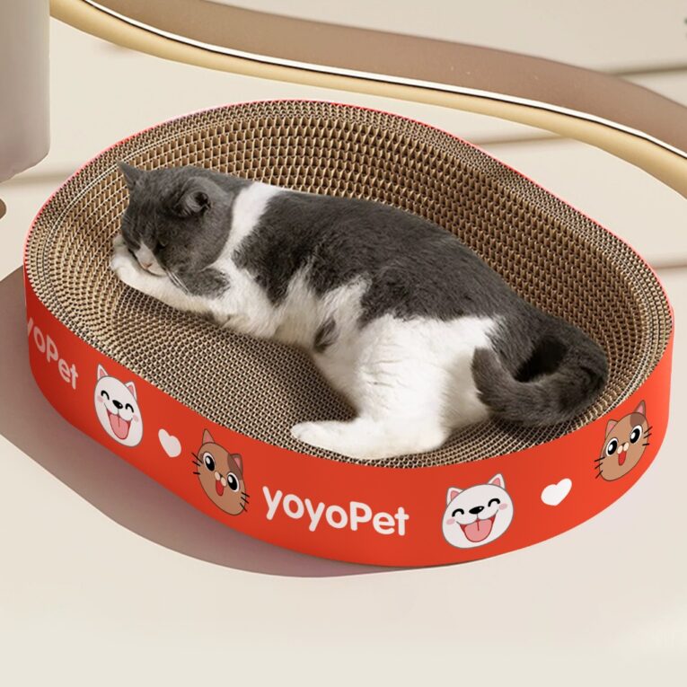 YOYOPET_CATTOY