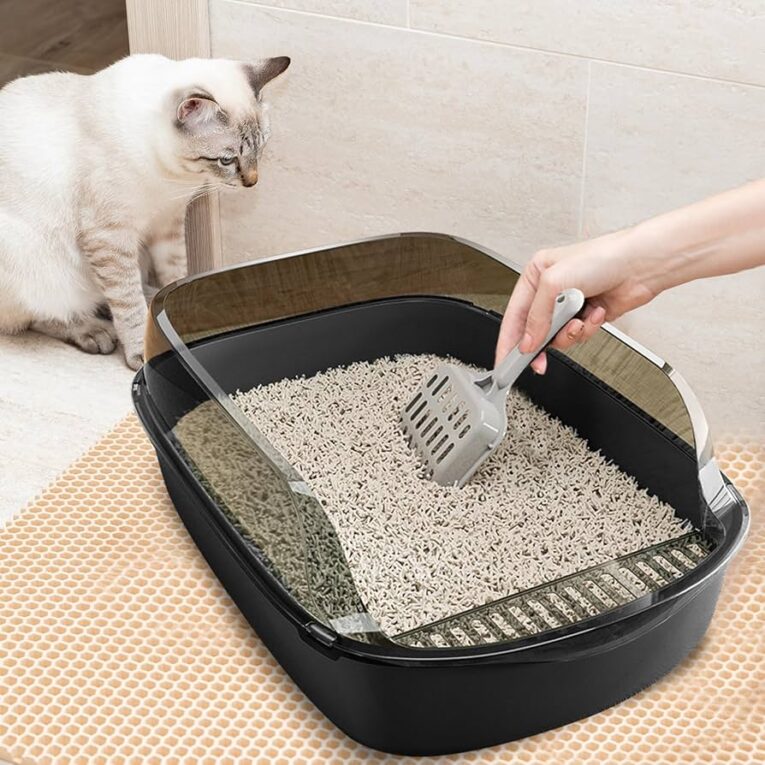 cat_tray_jumbo