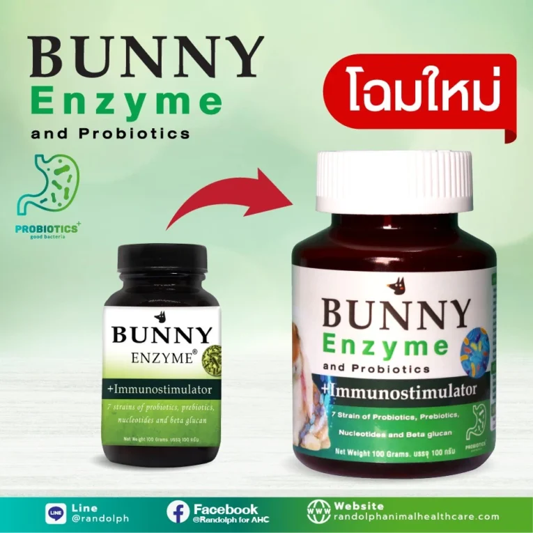 Randolph Bunny Enzyme -อาหารเสริมพลังงานฟื้นฟูสำหรับสัตว์กินพืชป่วย 100g