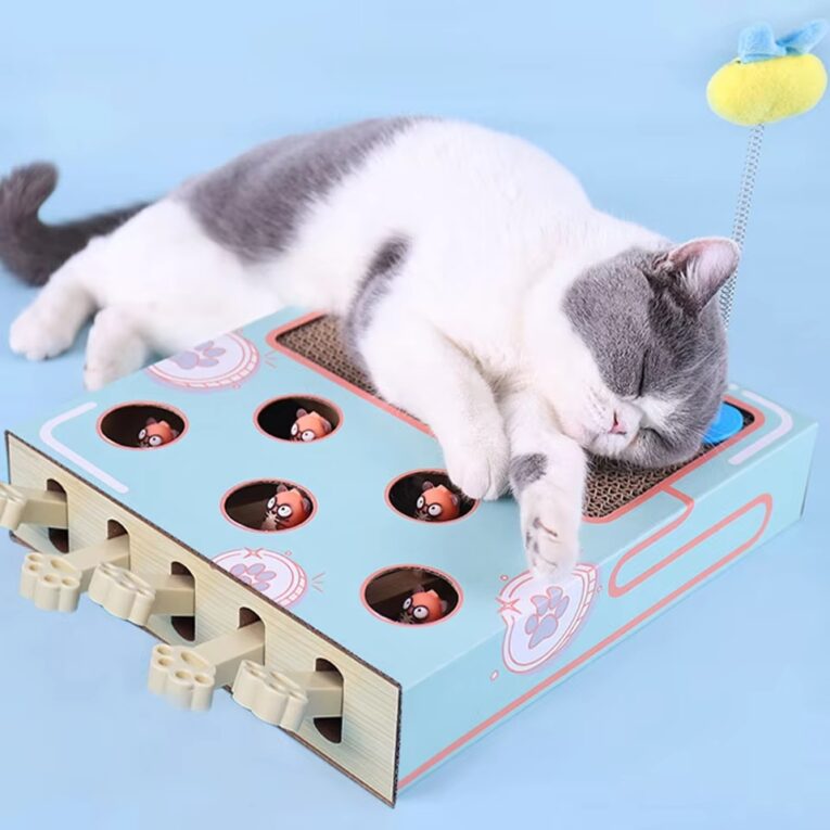 CAT_TOY_BOX