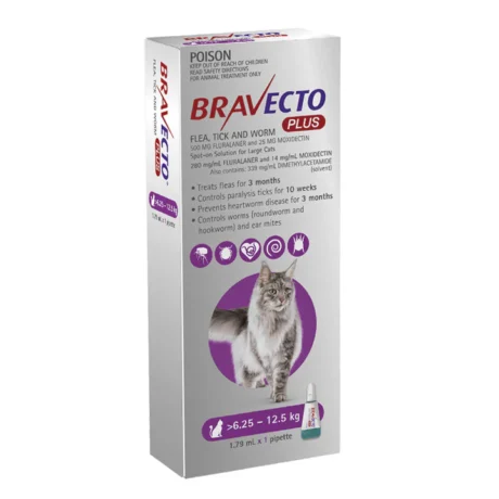 Bravecto Plus for Cats LARGE 720x