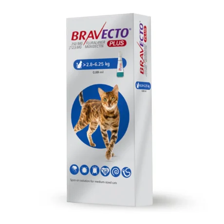 Bravecto Plus for Cats MEDIUM 720x