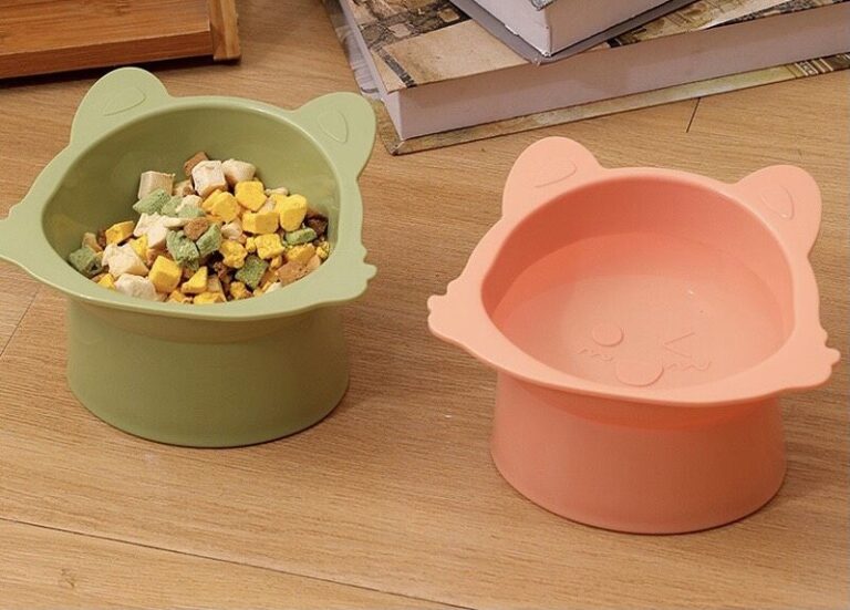 Cat Bowl 470247