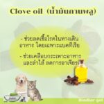 BIODIAR GEL Cloce Oil