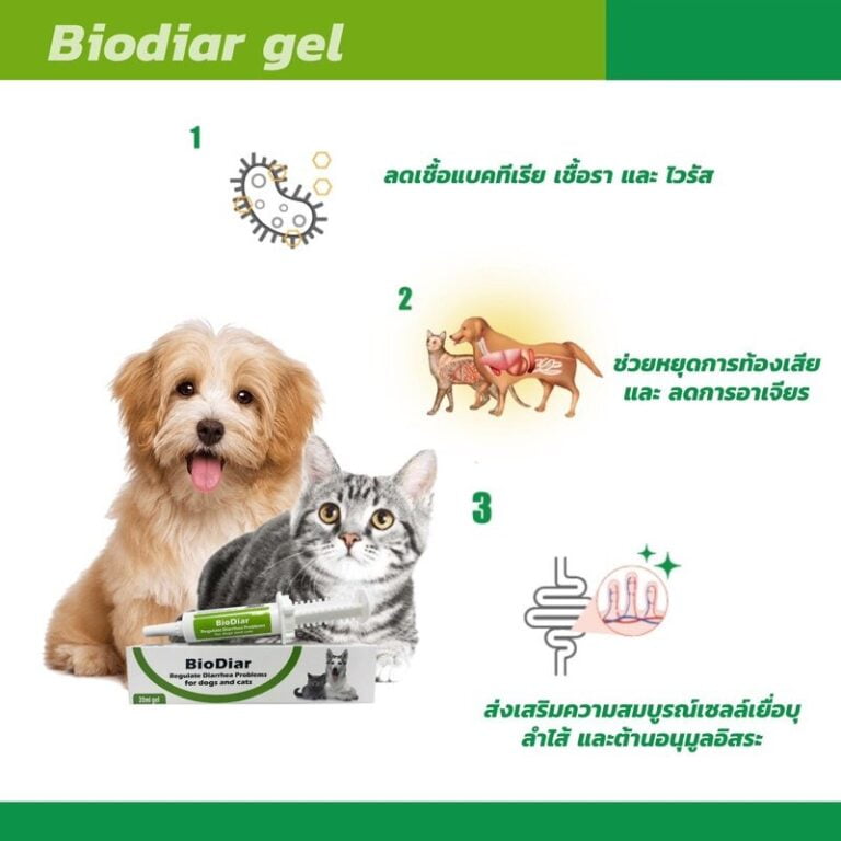 biodiar-dog-cat