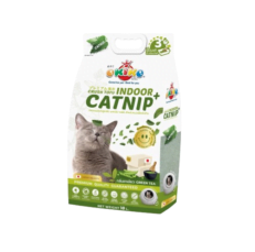 Okiko Premium Crush Tofu Indoor Catnip Litter Cat Green tea - ทรายแมวเต้าหู้แคทนิปเกรดพรีเมี่ยม กลิ่นชาเขียว 10L (450695) (Copy)