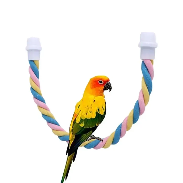 Rope-Bungee-Bird-Toy