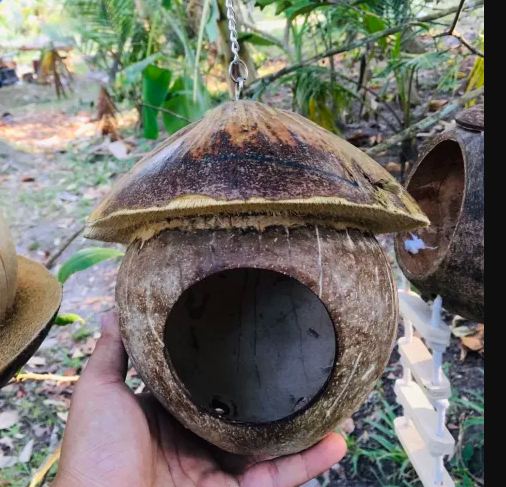 Coconut Shell House - บ้านกะลามะพร้าวหมวกคาวบอย+สายห้อยโซ่