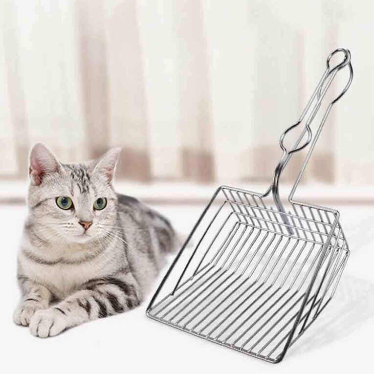 cat_scoop_metal