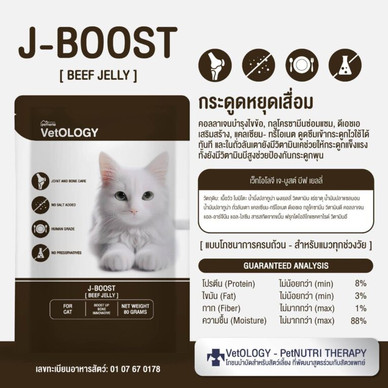 VetOLOGY J-BOOST BEEF JELLY 80g