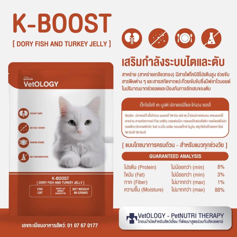 VetOLOGY K-BOOST DORY FISH AND TURKEY JELLY 80g