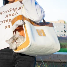 Breathable Cat Carrier Bag