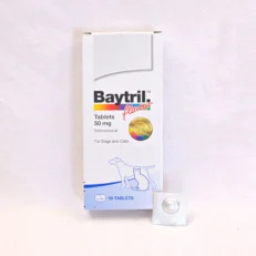 BAYER Baytril Flavour Tablet 50mg