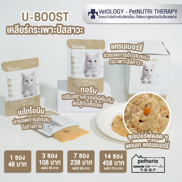 u-boost