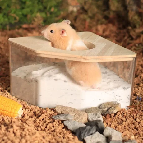 Hamster Tub