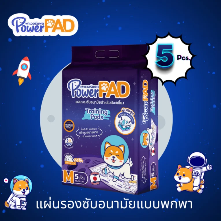 Power PAD Traning Pads Size M - แผ่นรองซับอนามัยสำหรับสุนัข 5ชิ้น (45x60cm)