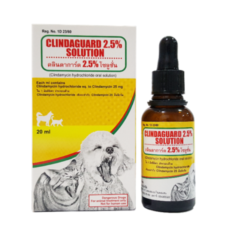 Clindaguard 2.5% Solution 20ml