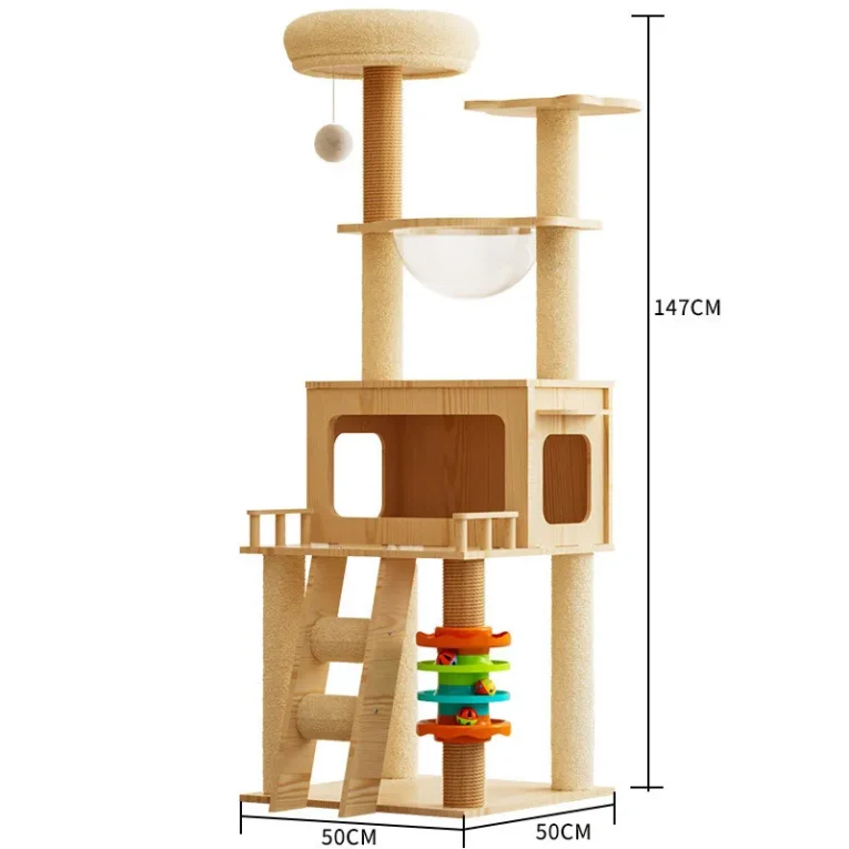 cat_condo_m