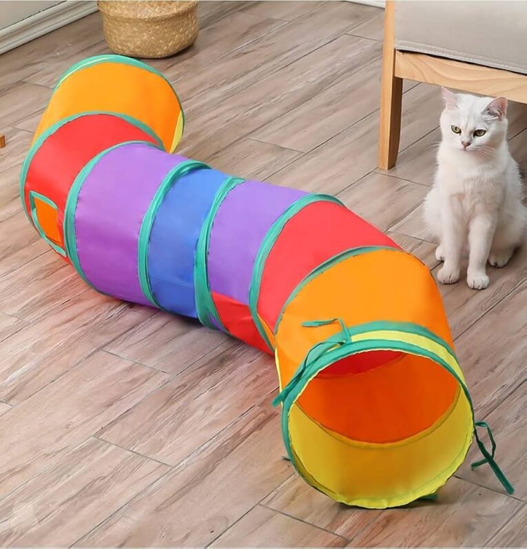 cat_tunnel_s