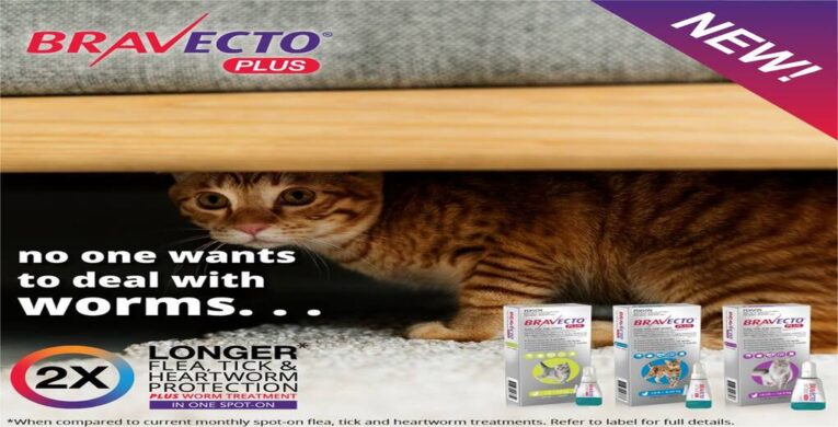 Bravecto-Plus-for-Cats (2)