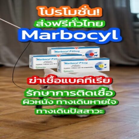 Marbocyl _หน้าปก