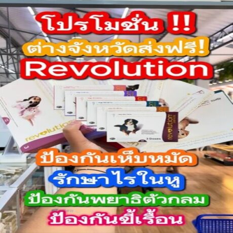 Revolution_หน้าปก