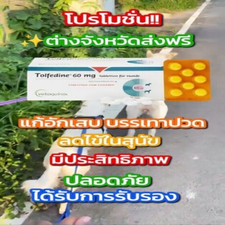 Tolfedine60_หน้าปก