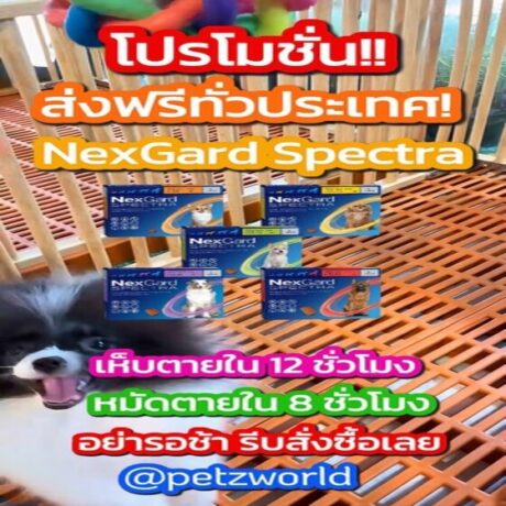 nexgard spectra 2_หน้าปก