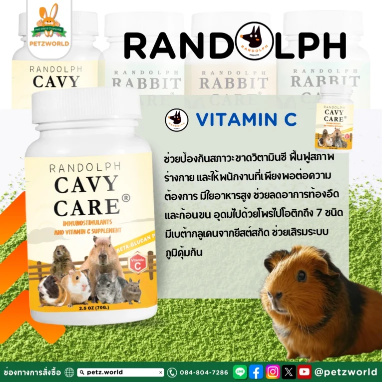 Randolph Cavy Care