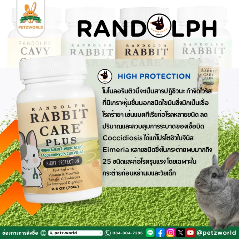 Randolph Rabbit Care High Protection