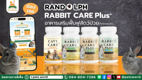 Rabbit Care Plus