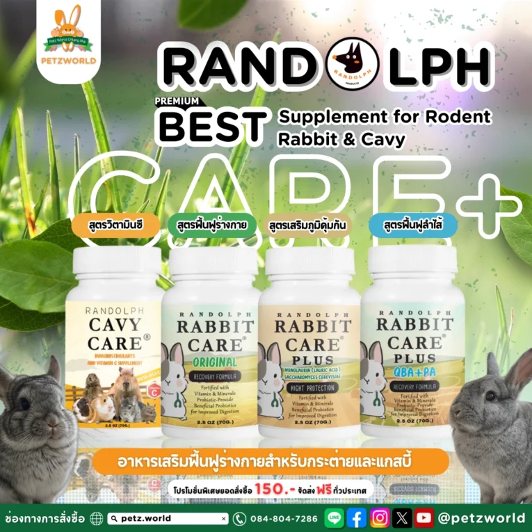 Rabbit Care Plus